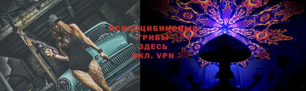прущие крисы Коряжма